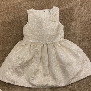Toddlers Holiday/Party Dress